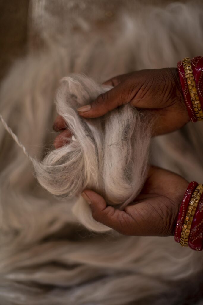 Hands holding raw wool